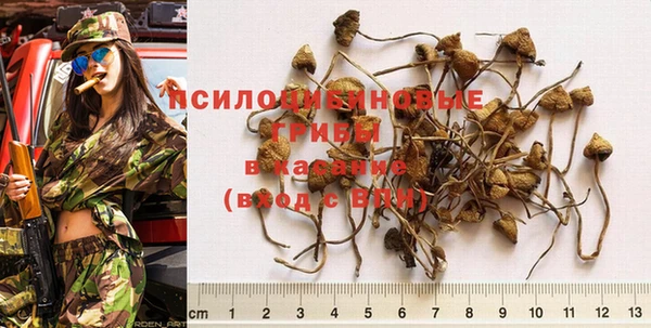 кокс Богородицк