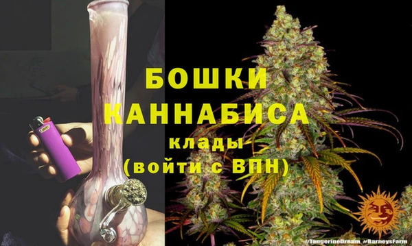 кокс Богородицк