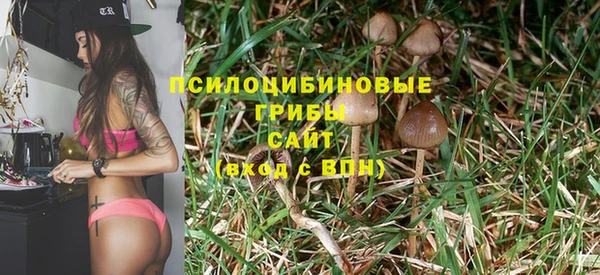 кокс Богородицк