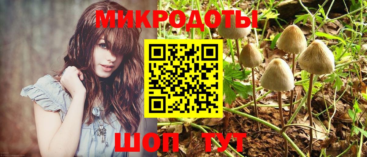 Галлюциногенные грибы мицелий Видное